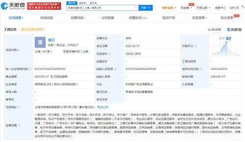 信息系统集成服务 数字化转型的关键驱动力