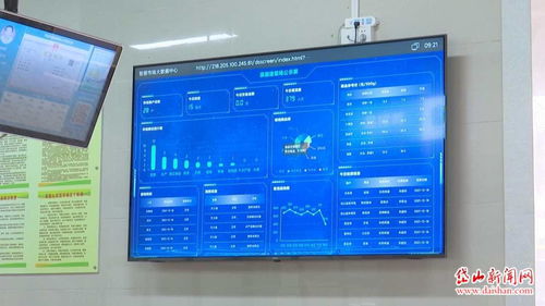 我县又新增一家五化市场信息系统集成服务